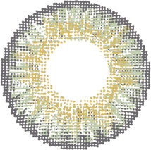 Polylite One Day Color - Daily