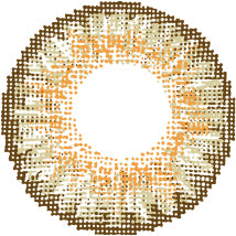 Polylite One Day Color - Daily