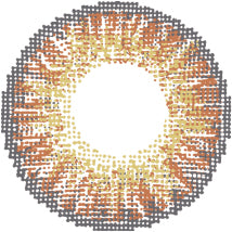 Polylite One Day Color Toric - Daily