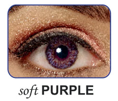 Polylite 38 Color - Yearly
