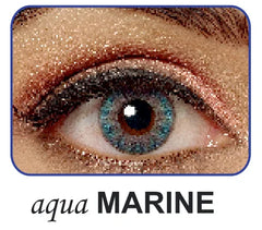 Polylite 38 Color - Yearly